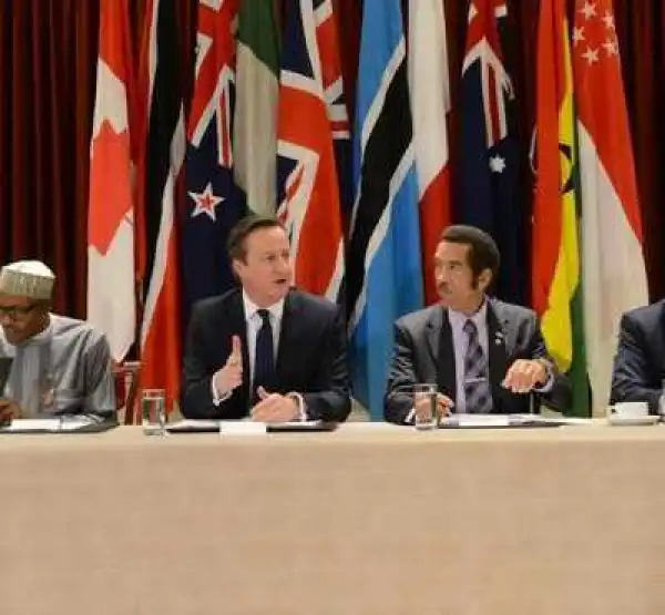 Photos: Buhari, Cameron discuss climate change & threat of global extremism at CHOGM